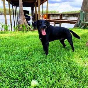 Meet your Posher, Isabella